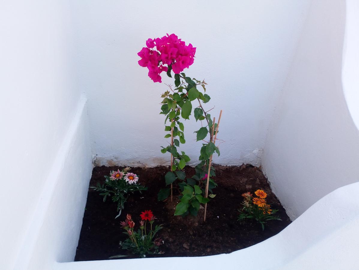 Thea Serifos Livadakia Ngoại thất bức ảnh